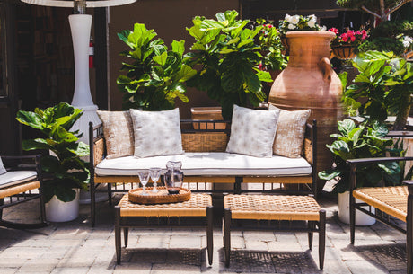 Create Beautiful and Practical Outdoor Spaces with Brisbane Plant Nursery - Brisbane Plant Nursery